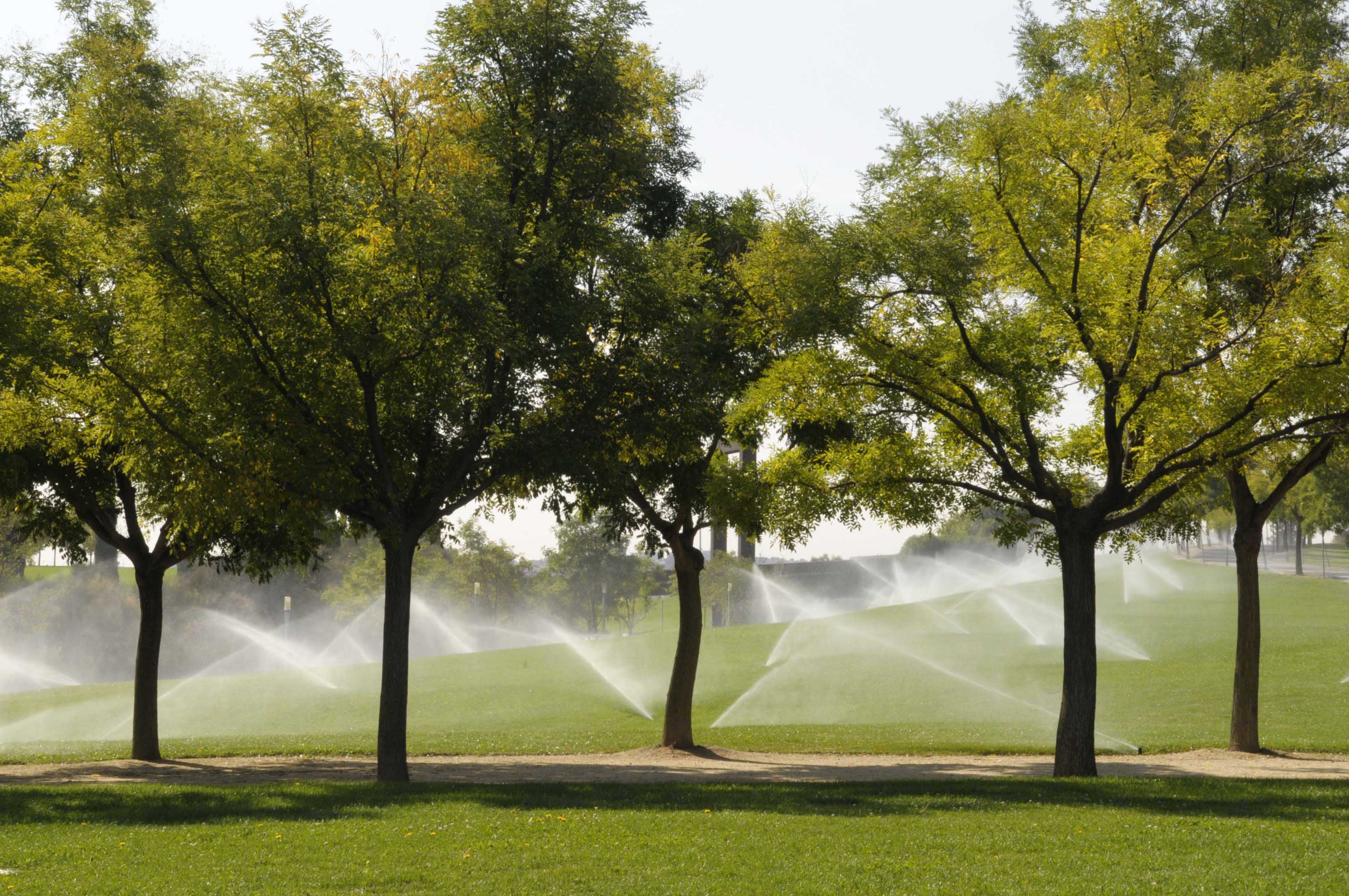 Riego con agua regenerada en el parque Juan Carlos I